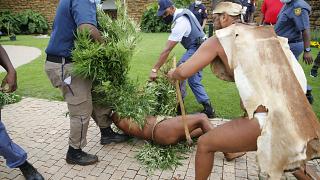 SOUTH AFRICAN INDIGENOUS ‘KING’ ARRESTED FOR GROWING CANNABIS AT PRESIDENCY