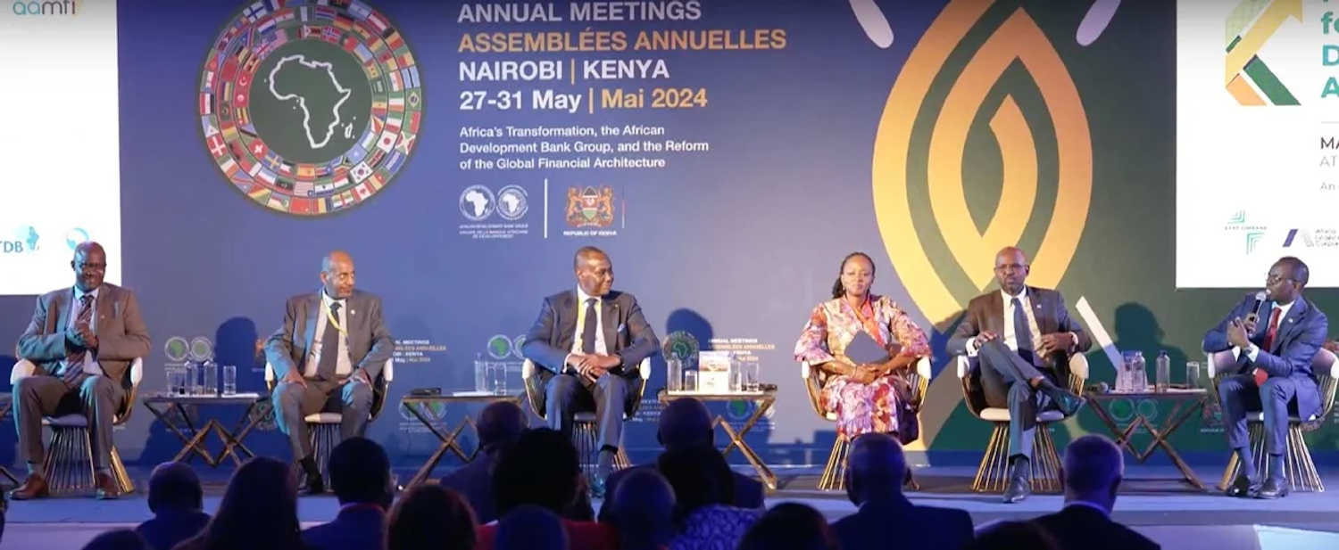Annual Meetings 2024: panel discussion on mobilizing funding to support the African private sector